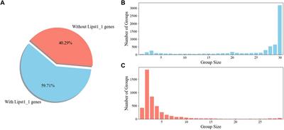 Genome-scale model development and genomic sequencing of the oleaginous clade Lipomyces